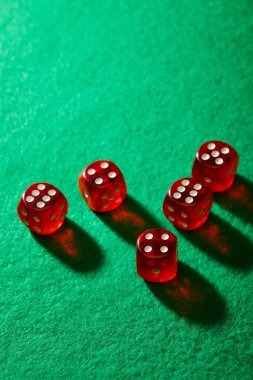 dosen toto live football betting interface